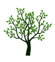 Shape of Tree with leaves. Vector outline Illustration. Plant in Garden.