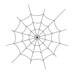 Fototapeta premium Web