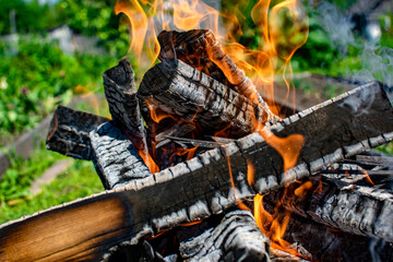 Firewood burning in the fire. Picnic concept.