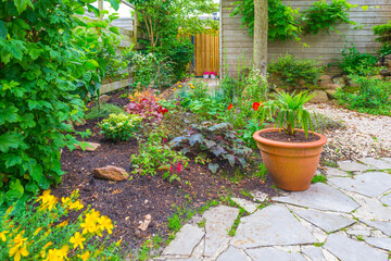 Flowers in a garden in bright sunlight in summer, Almere, Flevoland, The Netherlands, June 19, 2021