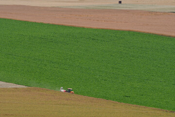 rheinhessische sommerlandschaft