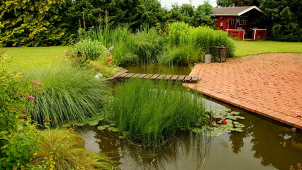 malerischer Gartenteich an roter Terrasse angrenzend umgeben von grünen Pflanzen in stiller Natur