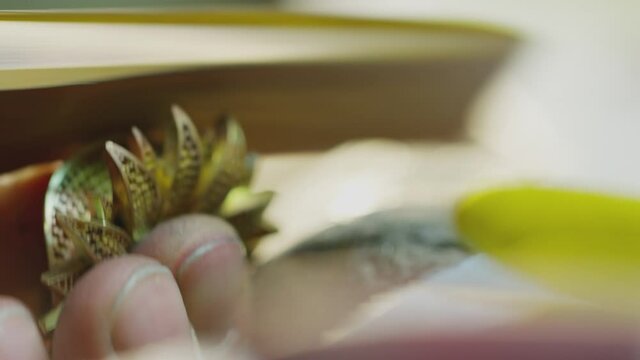 Hand of man grinding irregularities of the surface of a  golden accessory  by means of an emery . Goldsmith polishing unfinished golden flower brooch   . Jewelry making process . Close up . Working 

