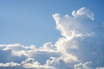 Naklejka na ściany i meble Beautiful cloud scape against blue sky.