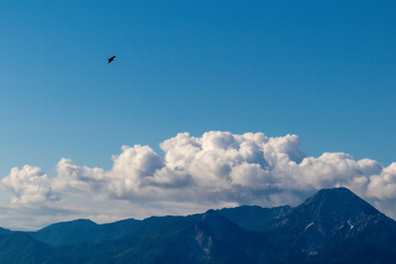 Fototapeta na wymiar A bird flying across the sky with the view on the valley at the foothill of Austrian Alps. The mountains in the back are very steep and sharp. Lush pastures in front. Clear and blue sky. Serenity