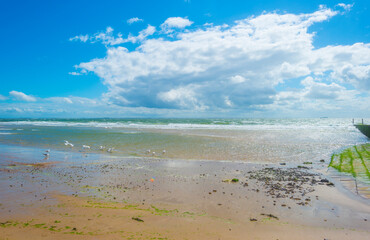 Sunlit waves on the yellow sand of a sunny beach along the North Sea illuminated by the light of a colorful sun and a blue cloudy sky in summer, Walcheren, Zeeland, the Netherlands, July, 2021
