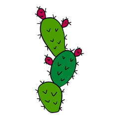 Cartoon doodle cactus isolated on white background. Cute floral desert element in childlike style. 