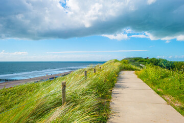 Green grassy dunes along the North Sea coast illuminated by the light of a colorful sun and a blue cloudy sky in summer, Walcheren, Zeeland, the Netherlands, July, 2021