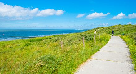 Fototapeta na wymiar Green grassy dunes along the North Sea coast illuminated by the light of a colorful sun and a blue cloudy sky in summer, Walcheren, Zeeland, the Netherlands, July, 2021