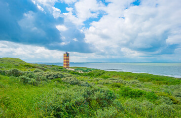 Green grassy dunes along the North Sea coast illuminated by the light of a colorful sun and a blue cloudy sky in summer, Walcheren, Zeeland, the Netherlands, July, 2021