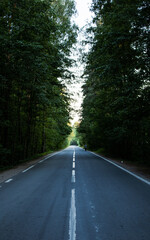 Obraz premium road in the woods