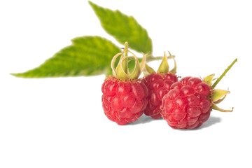 Isolated enlarged raspberries with leaves.
