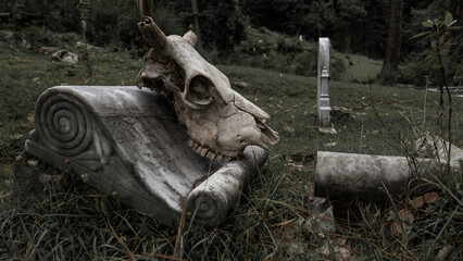 Fototapeta na wymiar Symbols of death. A ruined grave with a skull. An old tombstone
