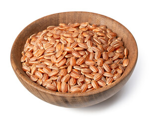 raw short-grain brown rice in the wooden bowl, isolated on white background