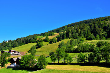 Fototapeta na wymiar alpe di villandro It is the second largest mountain pasture in Europe sud tirolo italy