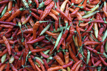 red chili peppers