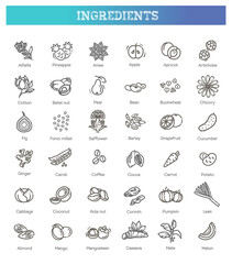 Vegetables and fruit thin line icon set. Vector ingredients