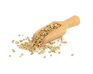 Buckwheat in a wooden scoop on a white background.