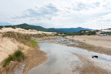 sand dunes on the beach and creek