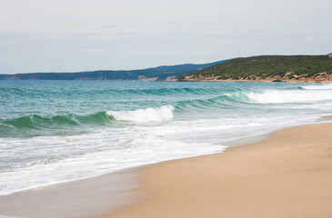 Fototapeta na wymiar Empty sandy beach and sea with waves