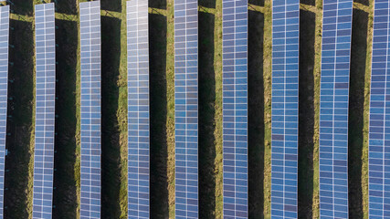 Aerial View of Solar Panels on a Ecological Farm. Electrical innovation nature environment