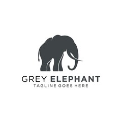 Elephant Logo Design Vector Image