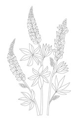 graceful flowers for your coloring book