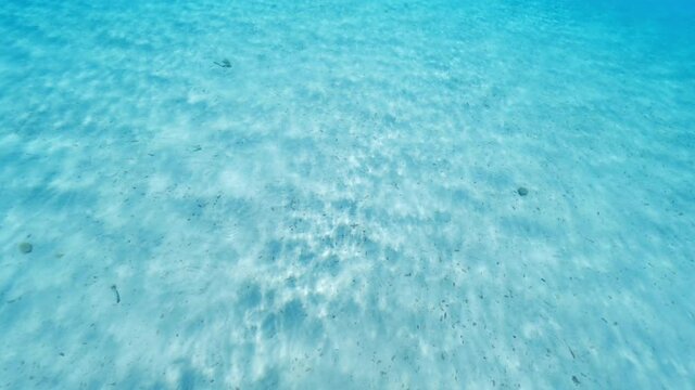 Underwater video, stunning view of a tourist swimming on a beautiful and turquoise water. Caprera, La Maddalena Archipelago, Sardinia, Italy.