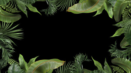3d render frame from tropical plants on a black blackground