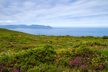 Fototapeta na wymiar Springtime landscape in the Atlantic coastline of Galicia
