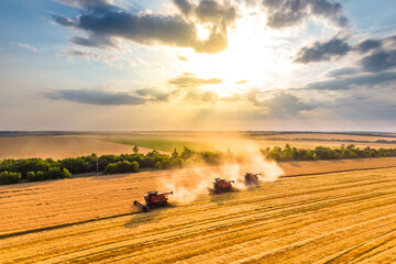 harvesting wheat. three red combine-harvester work in the field. beautiful sky at sunset. Aerial...