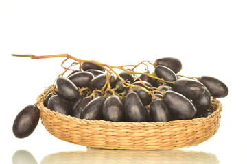 One bunch of black grapes in a straw plate, close-up, isolated on white.