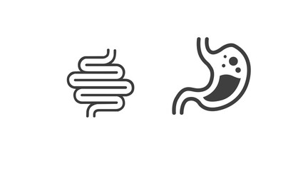 Stomach and digestive system icon. Vector isolated editable illustration of the stomach and digestive system 