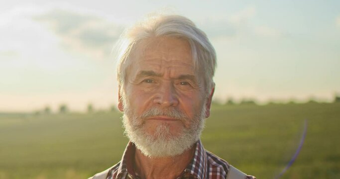 Portrait of senior smile man with beard looking to the camera in the golden field on the blue sky background sunny day. Face of the happy farmer worker at the summer nature. Farming people concept