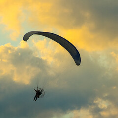 A lone glider flight against a beautifully lit afternoon sky.
