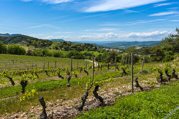 Fototapeta na wymiar Typical french Drome region village surrounded by Clairette sparkling wine vineyards.