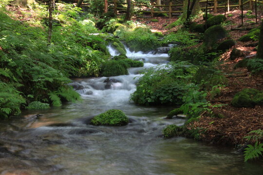 栃木県塩谷町に尚仁沢湧水。栃木県塩谷町の山・高原山に中腹にある湧水群。樹齢数百年にも及ぶ原生林の中、十数ヵ所から名水が湧き出る。