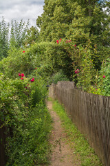 Fototapete bei efototapeten.de bestellen   