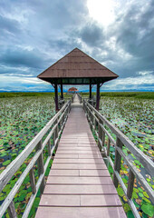 Obraz premium Sam Roi Yot Freshwater Marsh, Walk over the marsh, Bueng Bua Wood Boardwalk in Sam Roi Yot national park in Prachuap Khiri Khan, Thailand