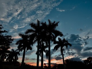 Fototapeta na wymiar Florida sunsets