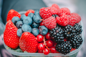 fresh fruits - berries, strawberries, red berries, blueberries, cherry, blackberry