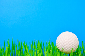 Golf ball on a green lawn on a blue background.