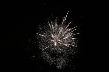 Fototapeta premium Festive fireworks against the black night sky. Light from the fireworks in the sky, a unique pattern of spray fireworks.