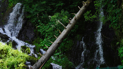 waterfall in the woods