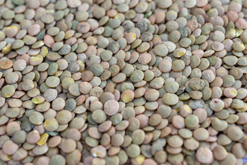 dried green lentils, grain close-up