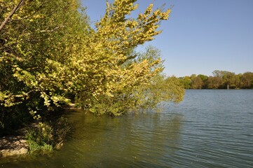 Banks of the Seine at Elbeuf in Normandy