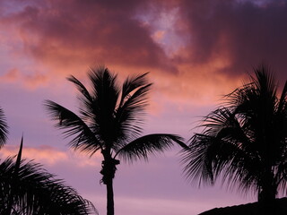 Fototapeta na wymiar Sunsets