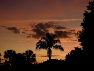 Fototapeta premium Sunsets