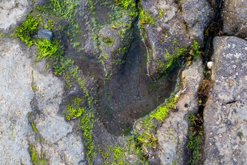dinosaur footprint in rock at An Corran beach near Staffin Bay, Isle of Skye, Scotland
