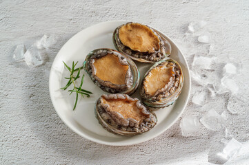 Fresh seafood abalone from the sea